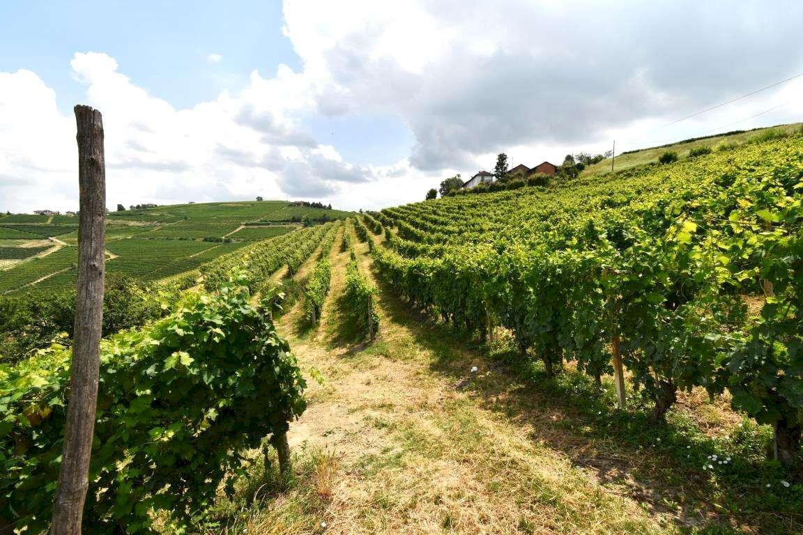 immagine annuncio 6 di 7