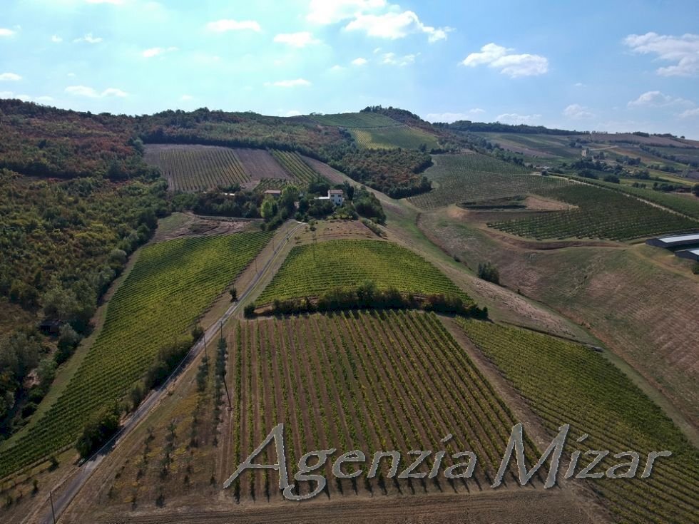 Rif. C011 - Azienda agricola a Ponticelli con vigneti irrigui e lago