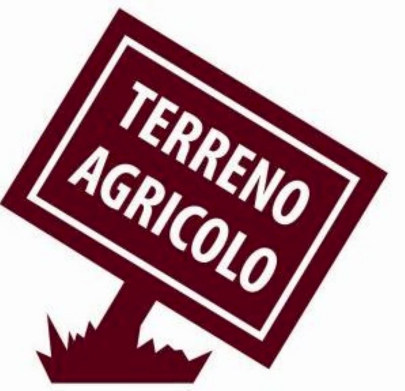 Vendita Terreno agricolo Lavagna