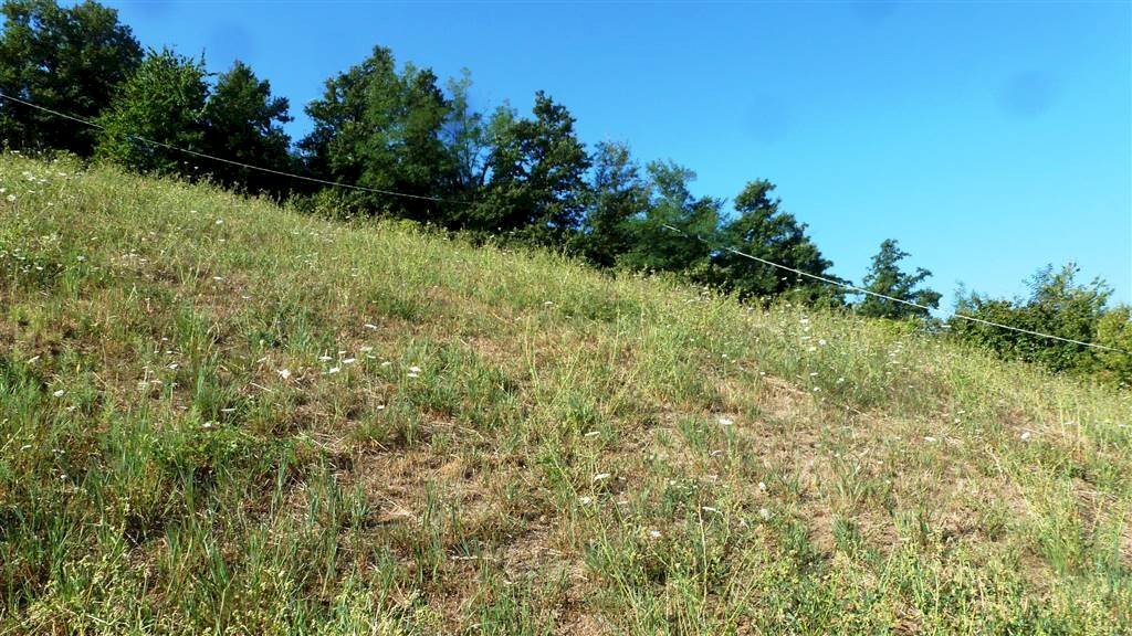 Terreno edificabile in vendita a Castiglione dei Pepoli Bologna - zona Lagaro