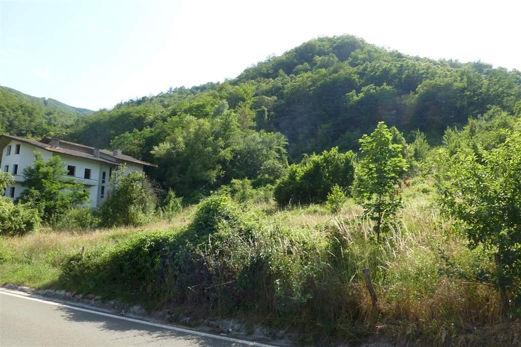 Terreno edificabile in vendita a Castiglione dei Pepoli Bologna - zona Baragazza