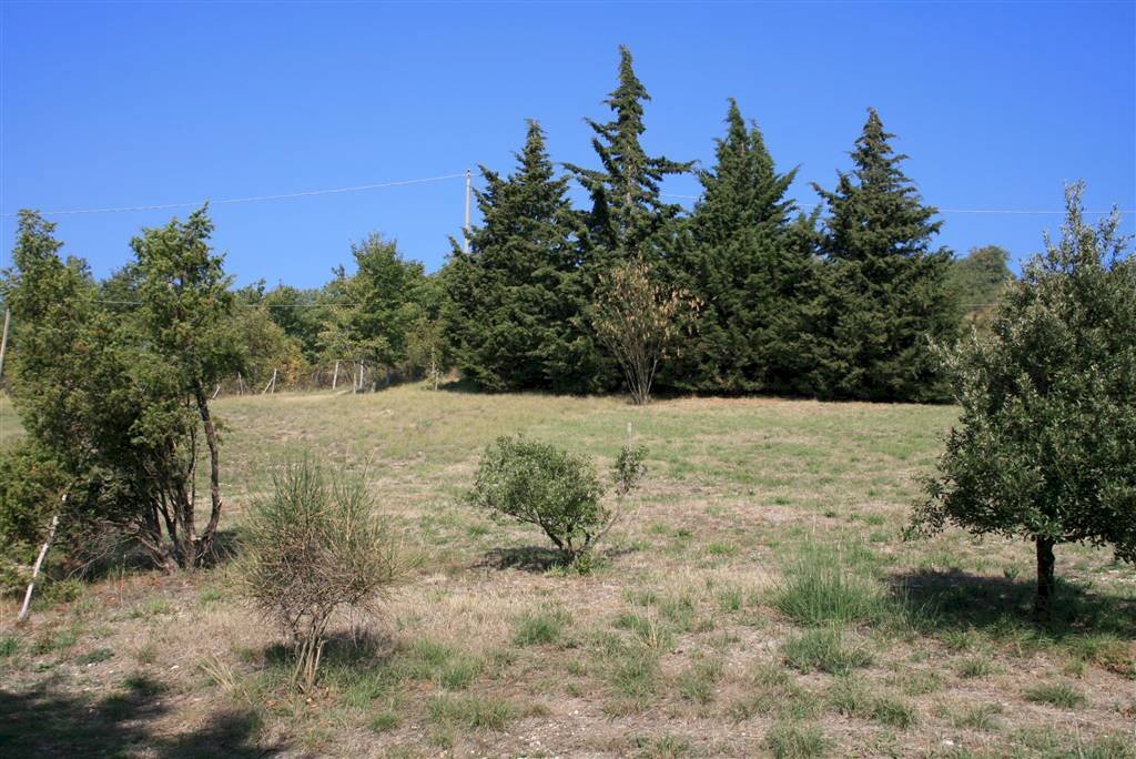 Terreno edificabile in vendita a San Benedetto Val di Sambro Bologna