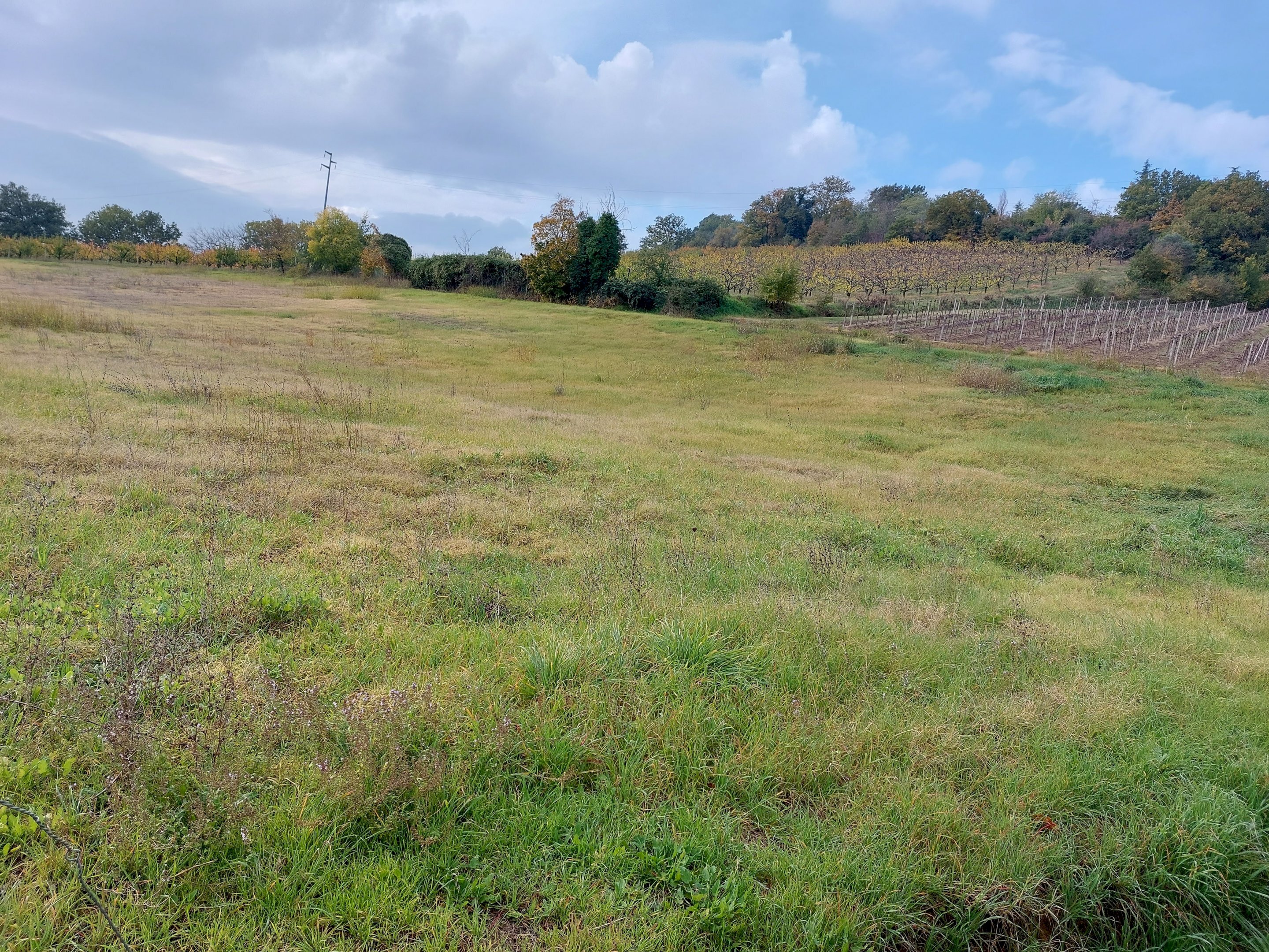 PONTICELLI TERRENO AGRICOLO CON DEPOSITO