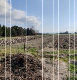 immagine annuncio 5 di 8