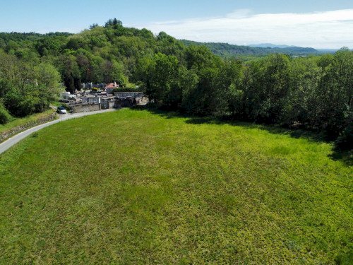 Vendita Terreno agricolo Pino Torinese