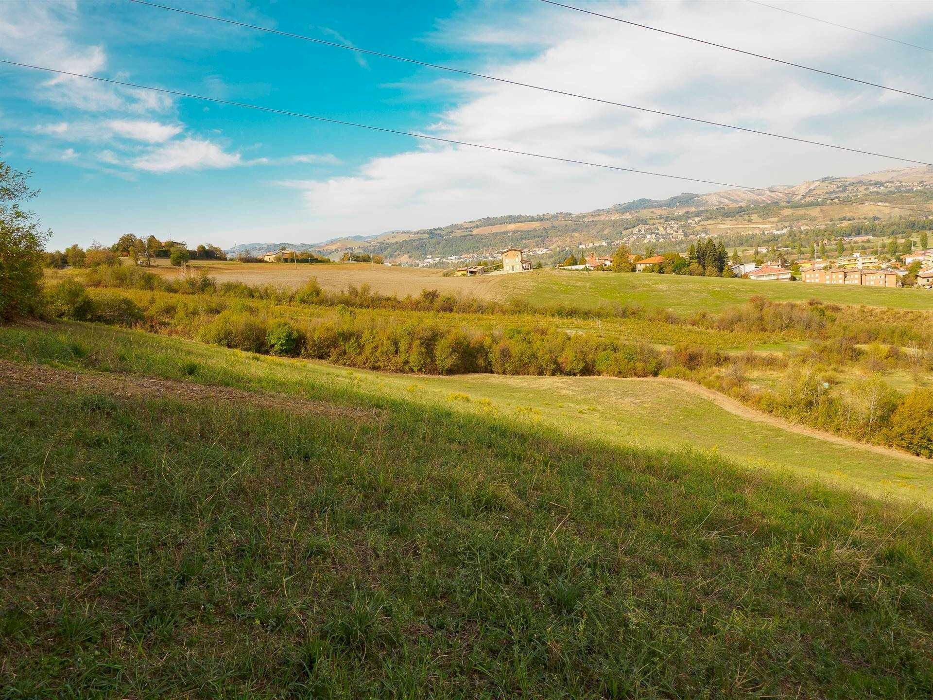 TERRENO AGRICOLO CON SOVRASTANTE DEPOSITO ATTREZZI - MQ 16000