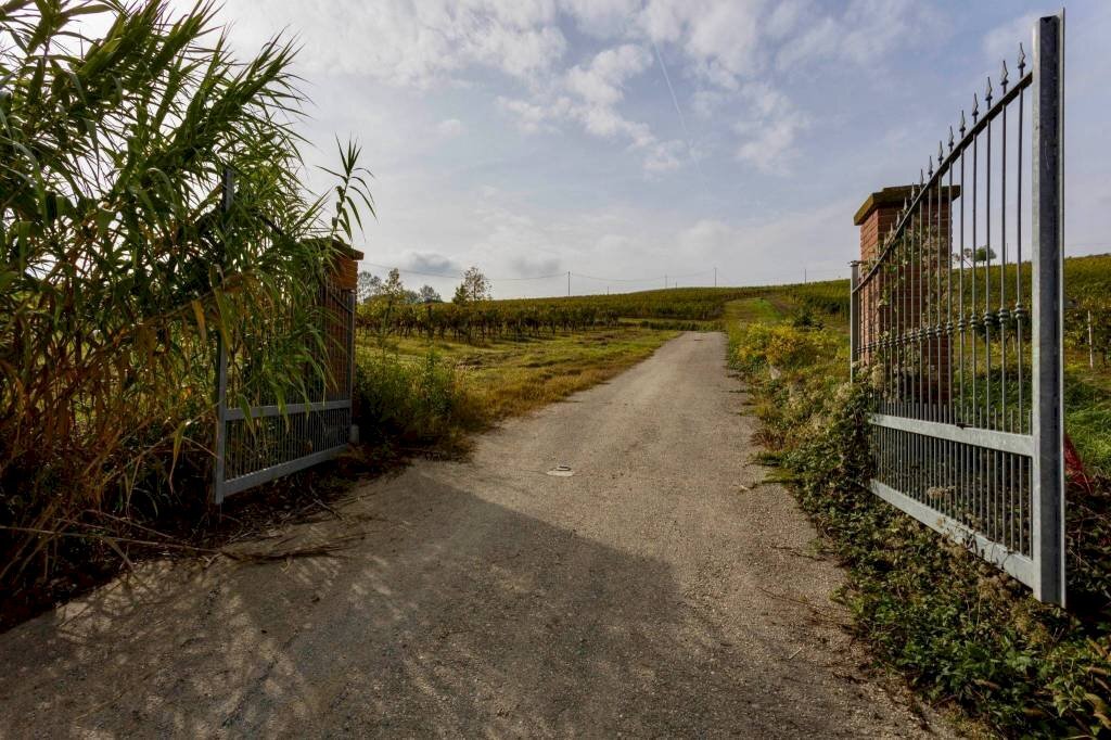 PICCOLA TENUTA NEL MONFERRATO