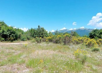 Terreno residenziale Isernia, C.da Colle Palumbo