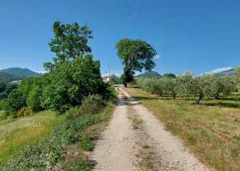 Terreno residenziale Isernia, C.da Salietto