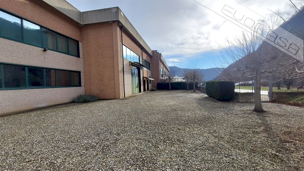 immagine annuncio 11 di 13