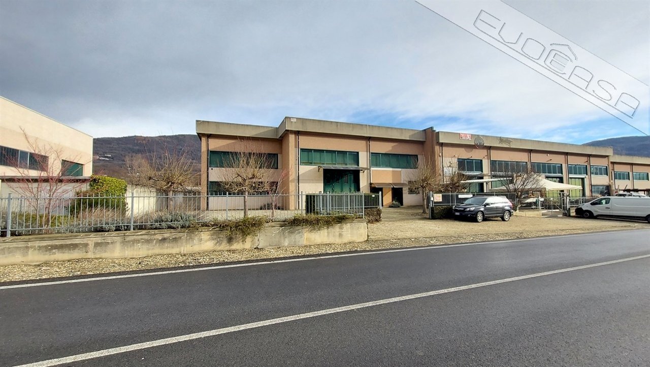 immagine annuncio 12 di 13