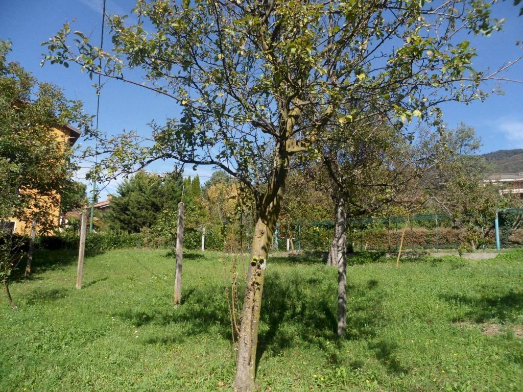 immagine annuncio 1 di 6