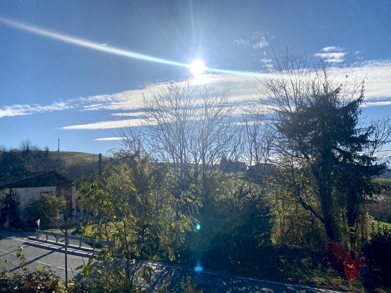 immagine annuncio 11 di 14