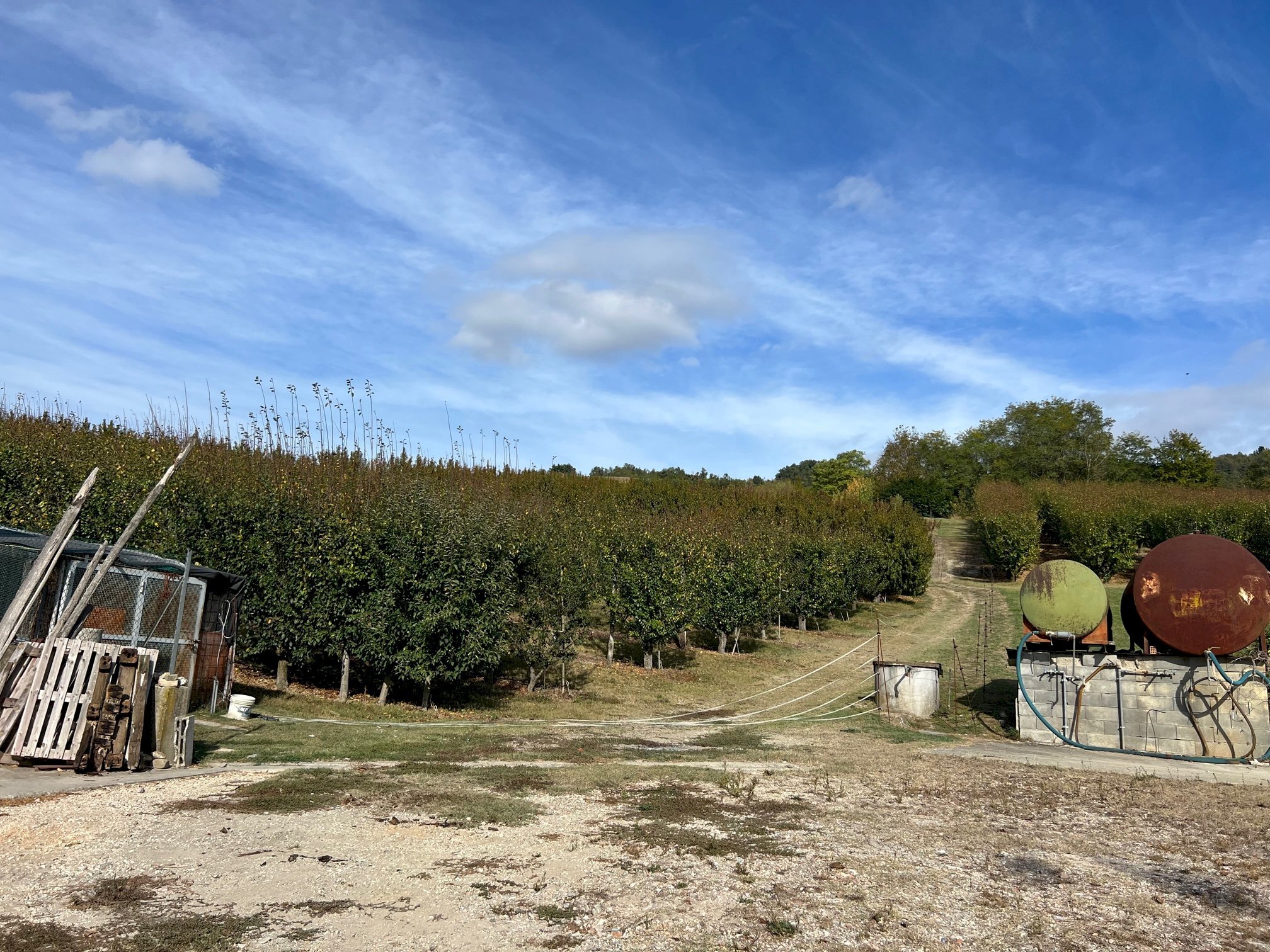 Terreno agricolo con capannone