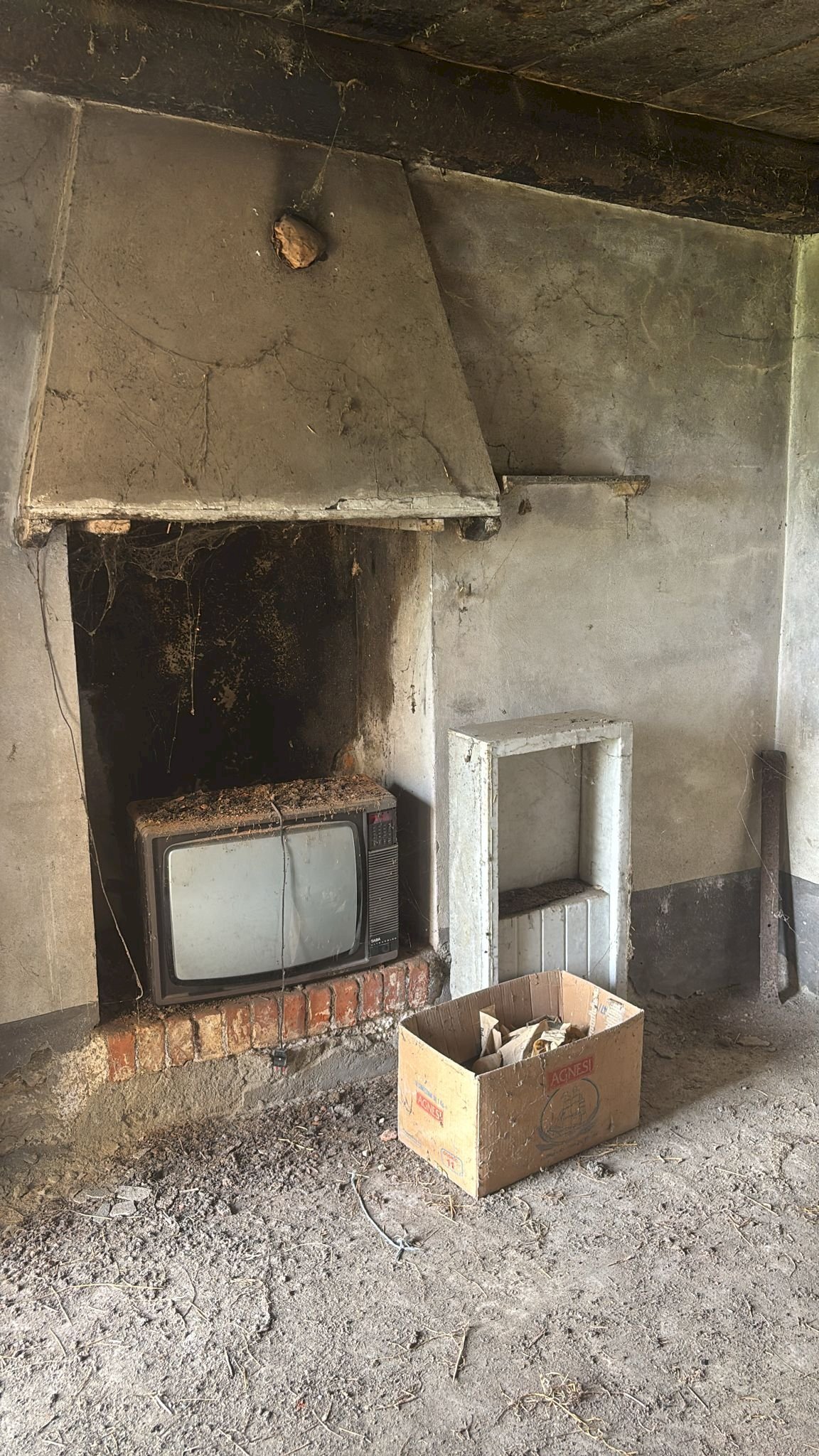 immagine annuncio 8 di 14