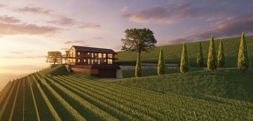 immagine annuncio 11 di 15