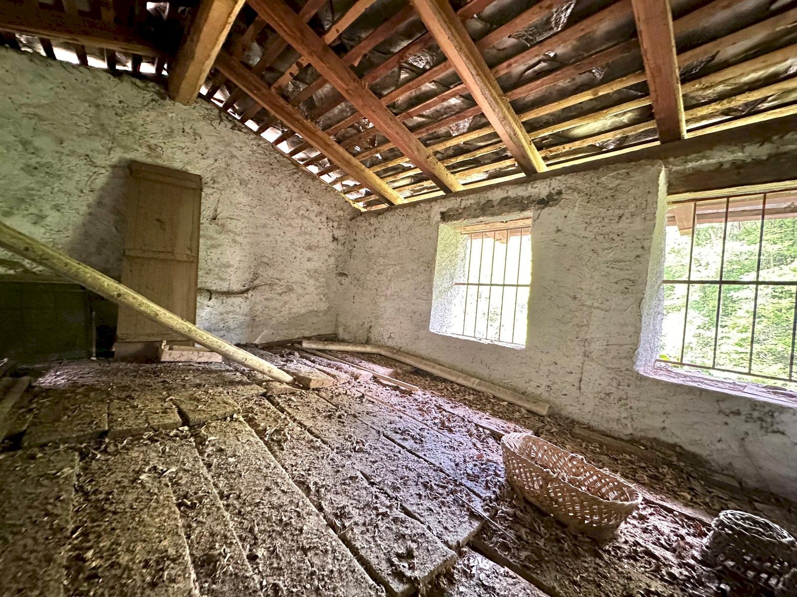 immagine annuncio 7 di 14