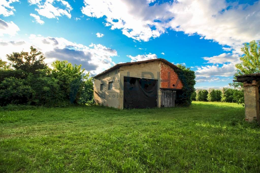 immagine annuncio 11 di 15