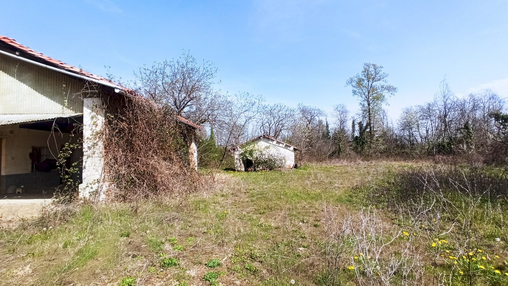 immagine annuncio 11 di 15