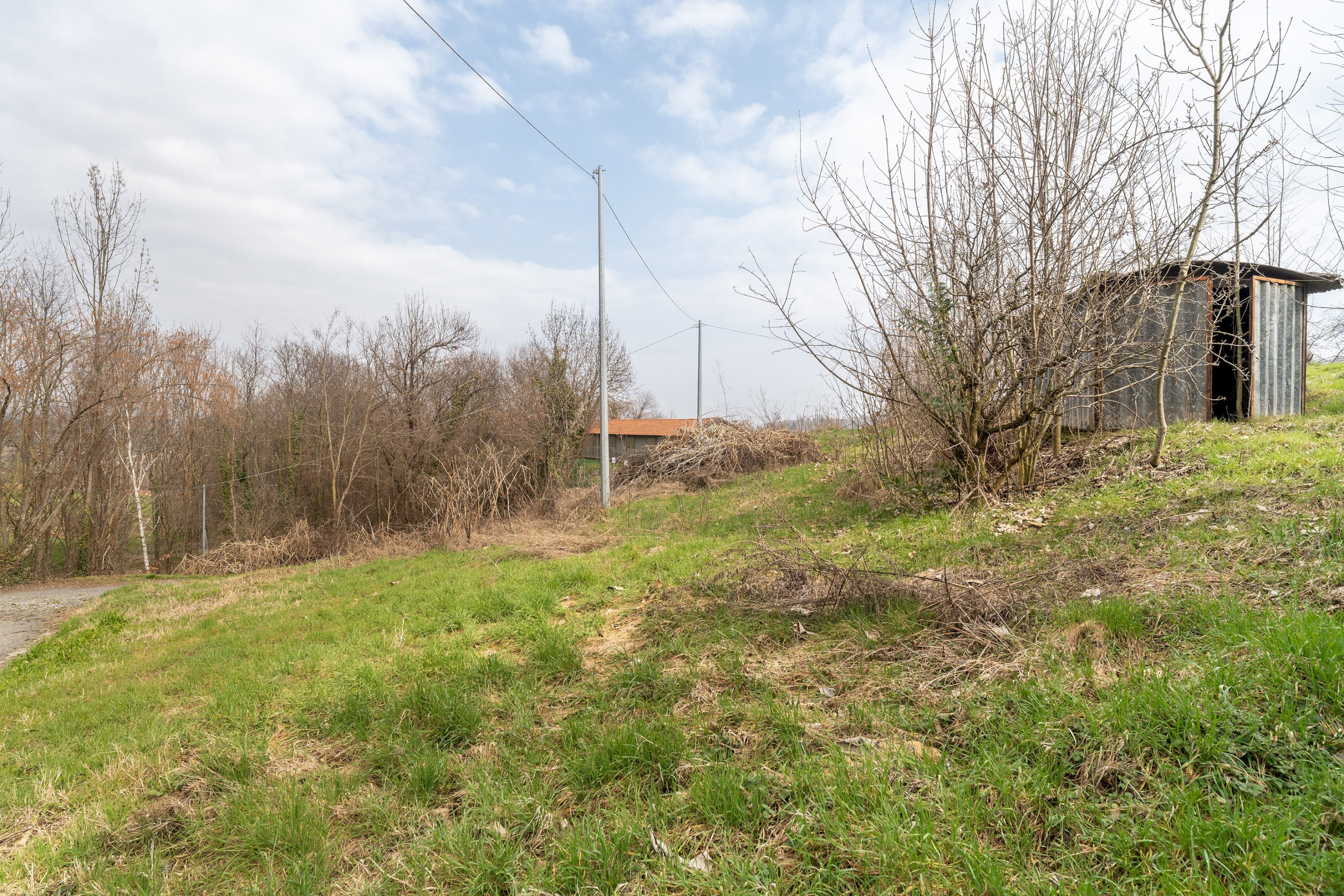 immagine annuncio 3 di 12