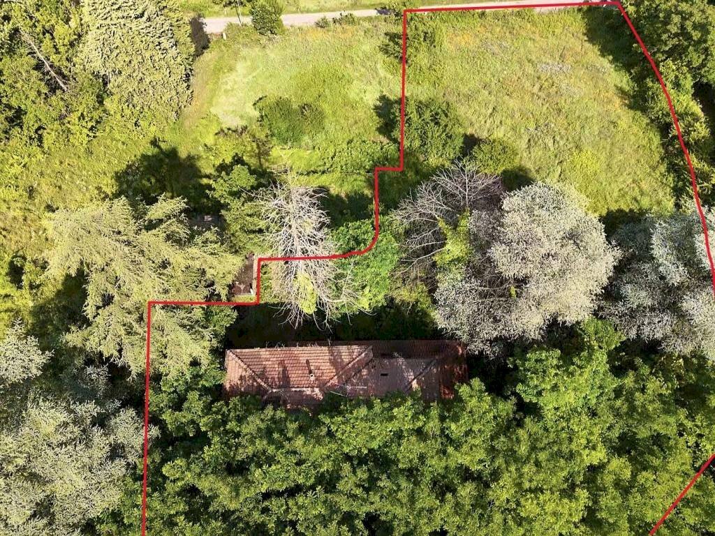 immagine annuncio 3 di 6