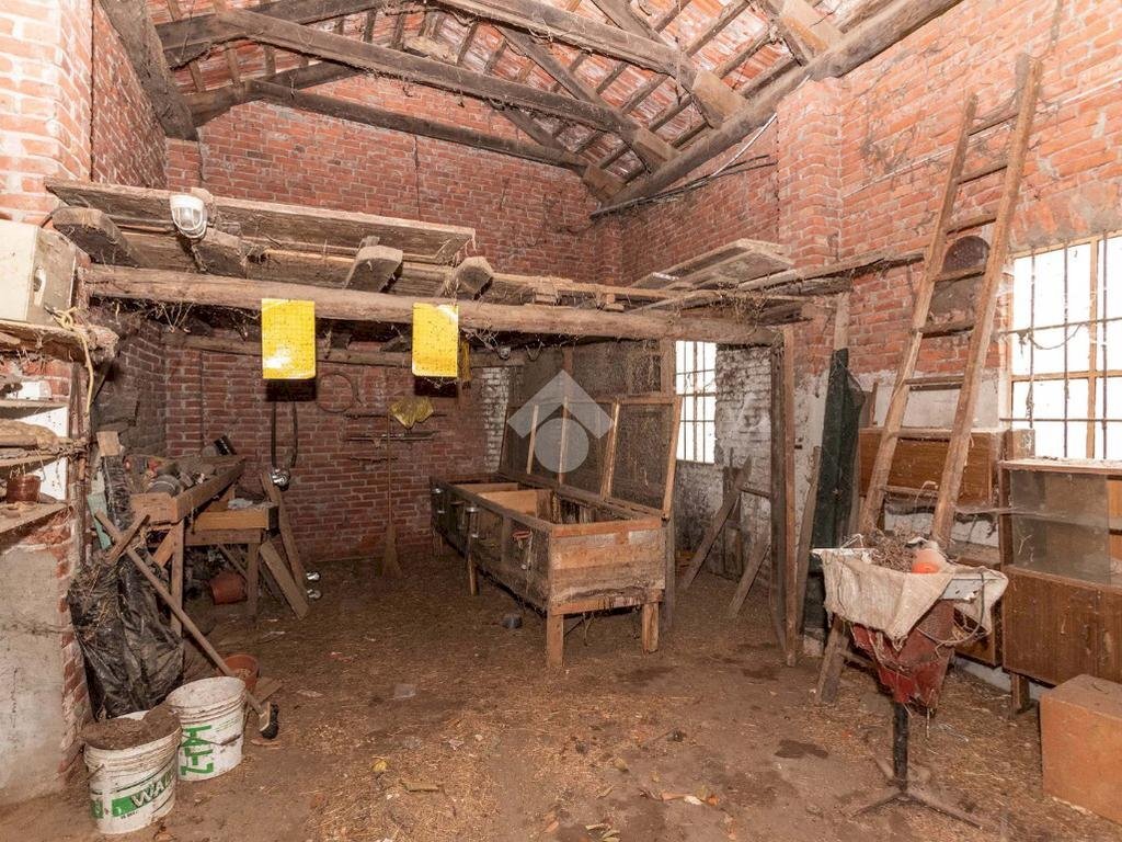 immagine annuncio 11 di 15