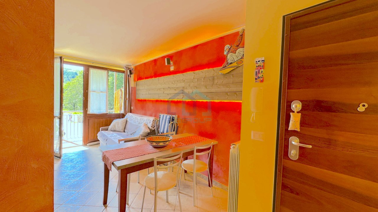 immagine annuncio 1 di 14