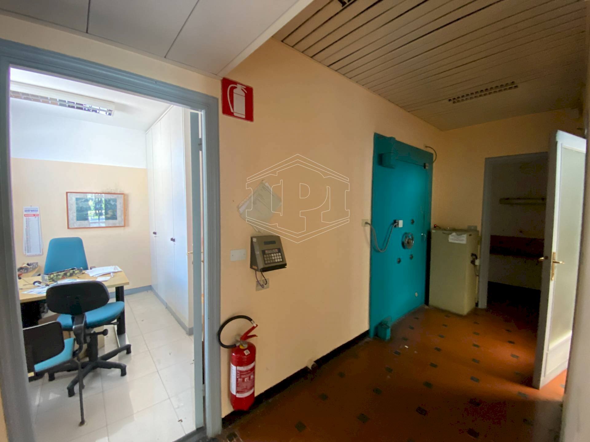 immagine annuncio 7 di 8