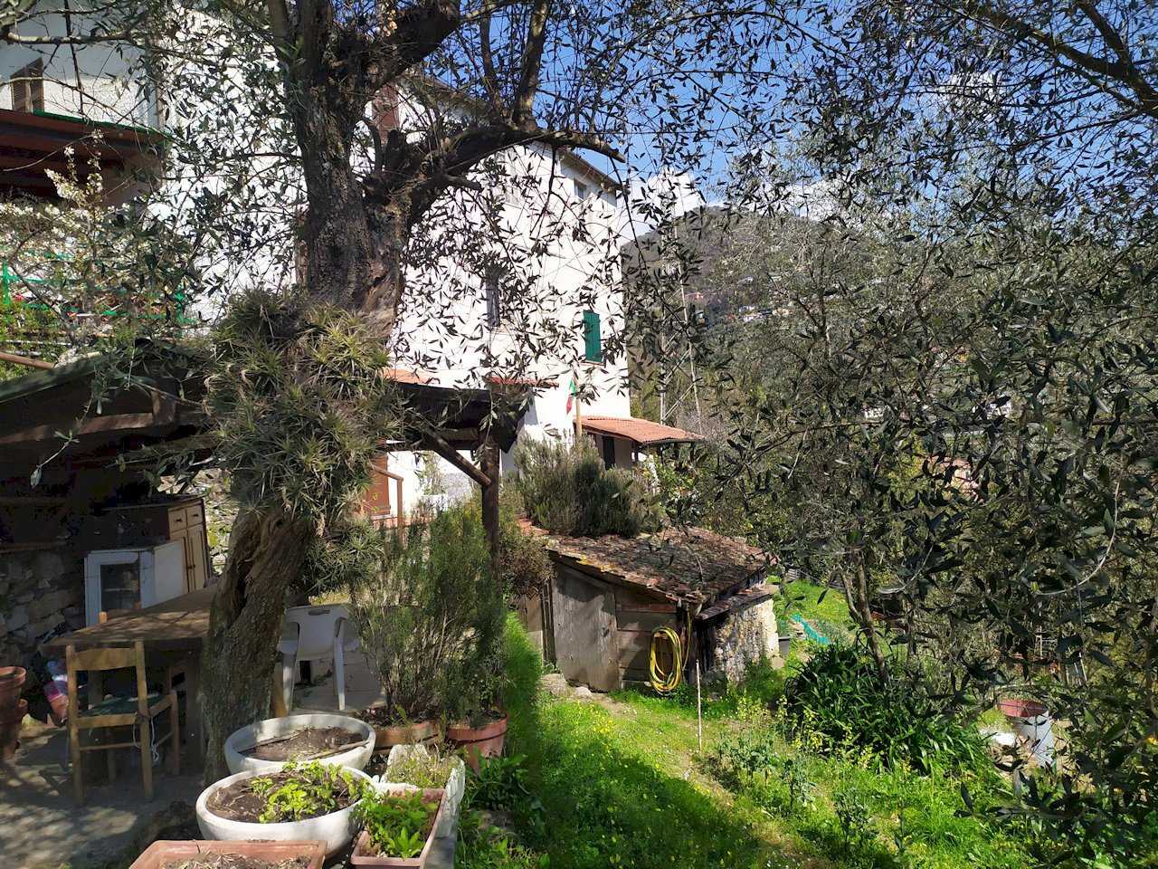 immagine annuncio 6 di 15