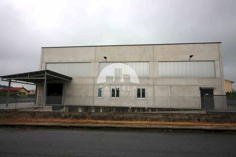 immagine annuncio 1 di 14