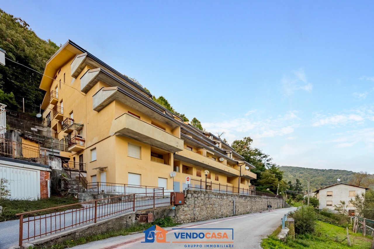 immagine annuncio 12 di 14