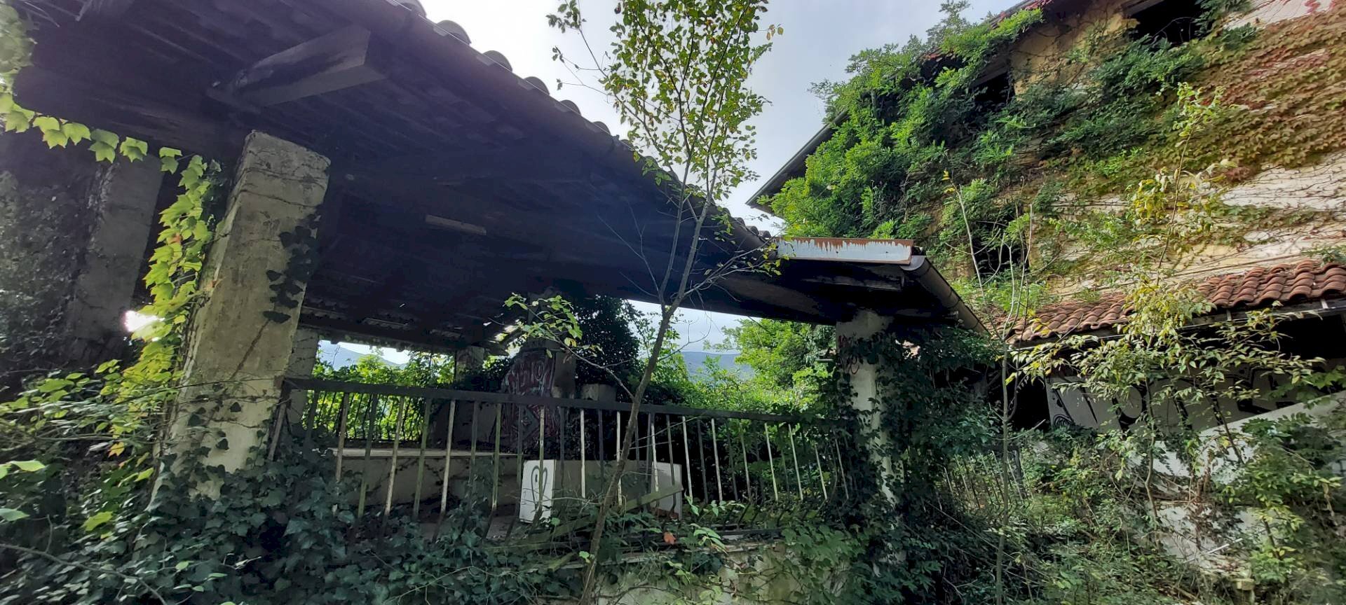 immagine annuncio 2 di 10