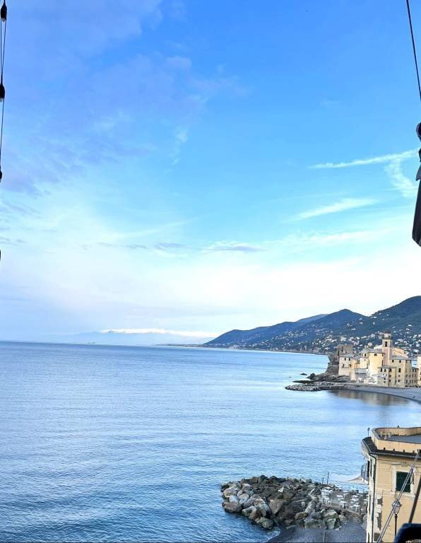 immagine annuncio 10 di 14
