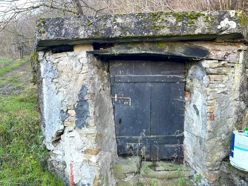 immagine annuncio 11 di 14