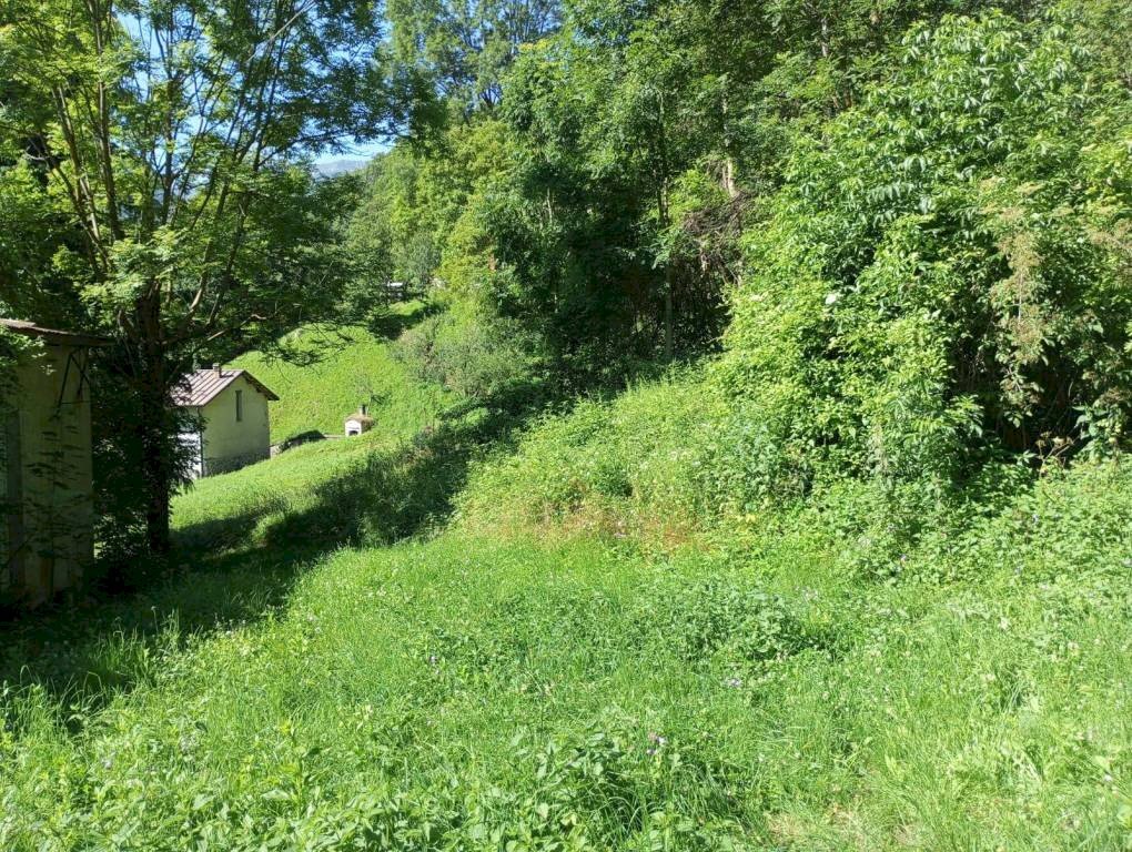 immagine annuncio 7 di 11