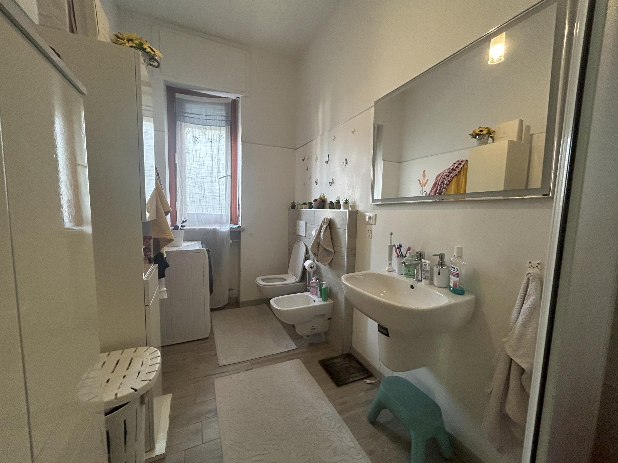 immagine annuncio 6 di 12