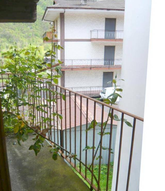 immagine annuncio 6 di 11