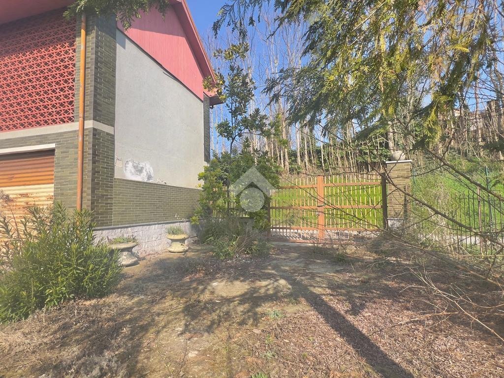 immagine annuncio 4 di 15