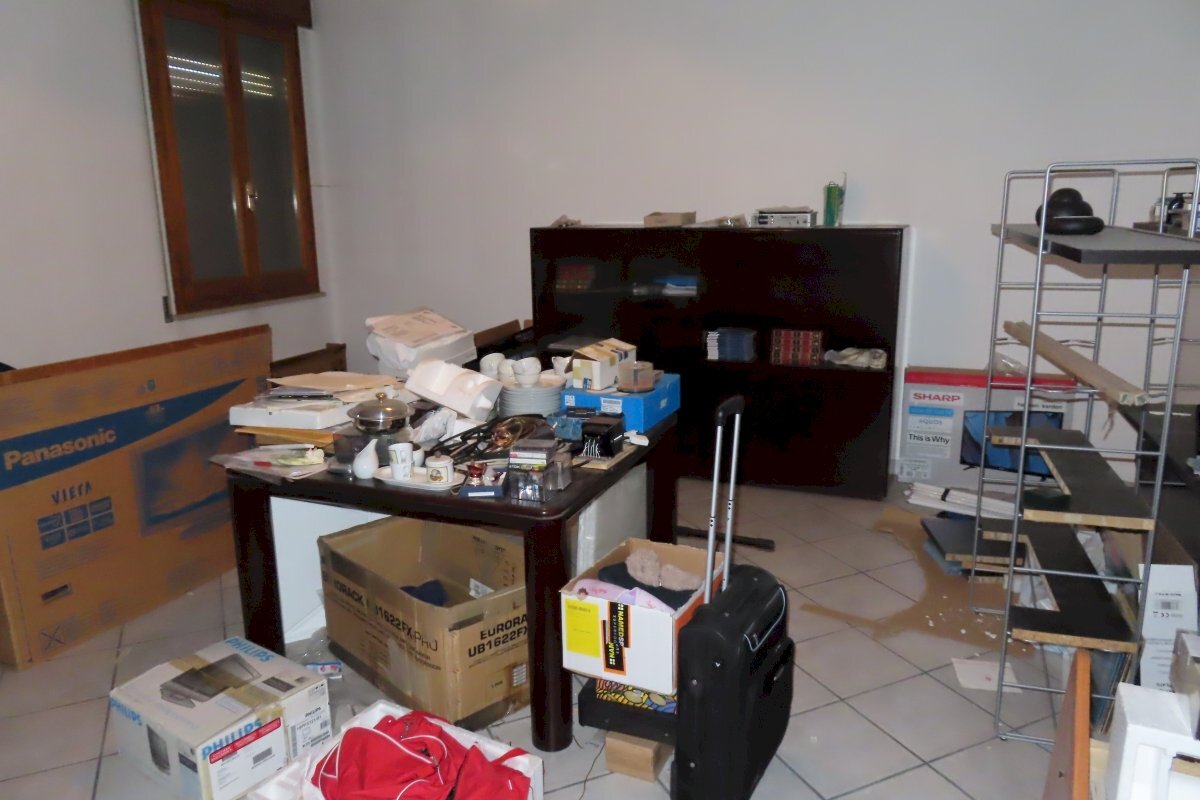 immagine annuncio 14 di 15