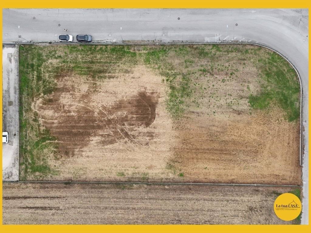 immagine annuncio 6 di 13