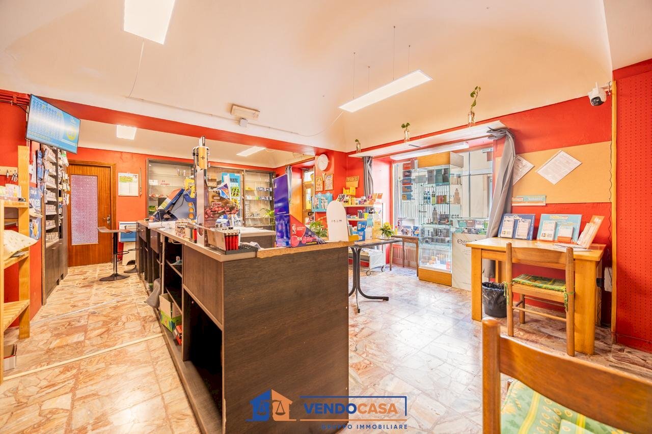 immagine annuncio 2 di 8