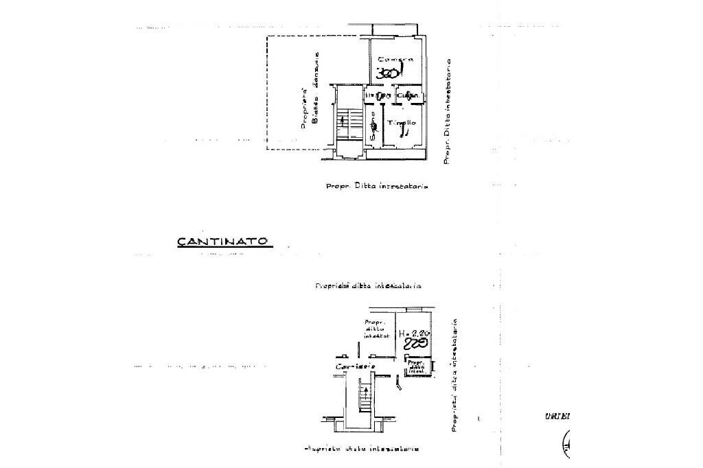 immagine annuncio 11 di 12