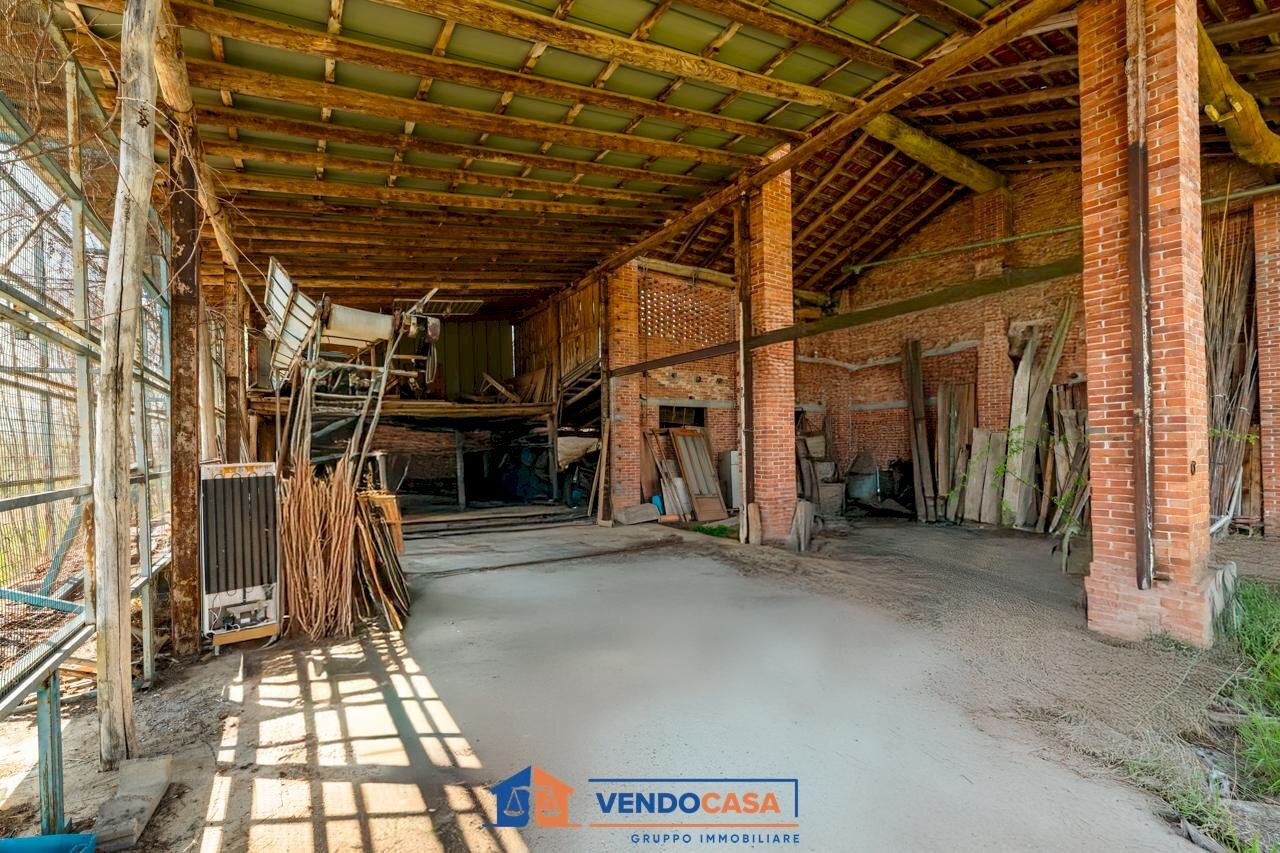 immagine annuncio 10 di 15