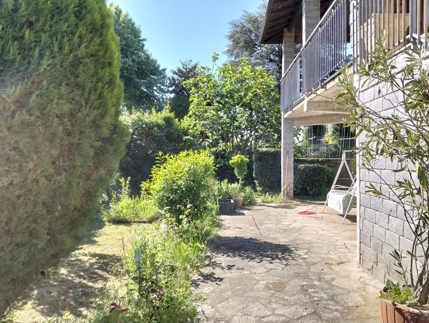 immagine annuncio 6 di 15