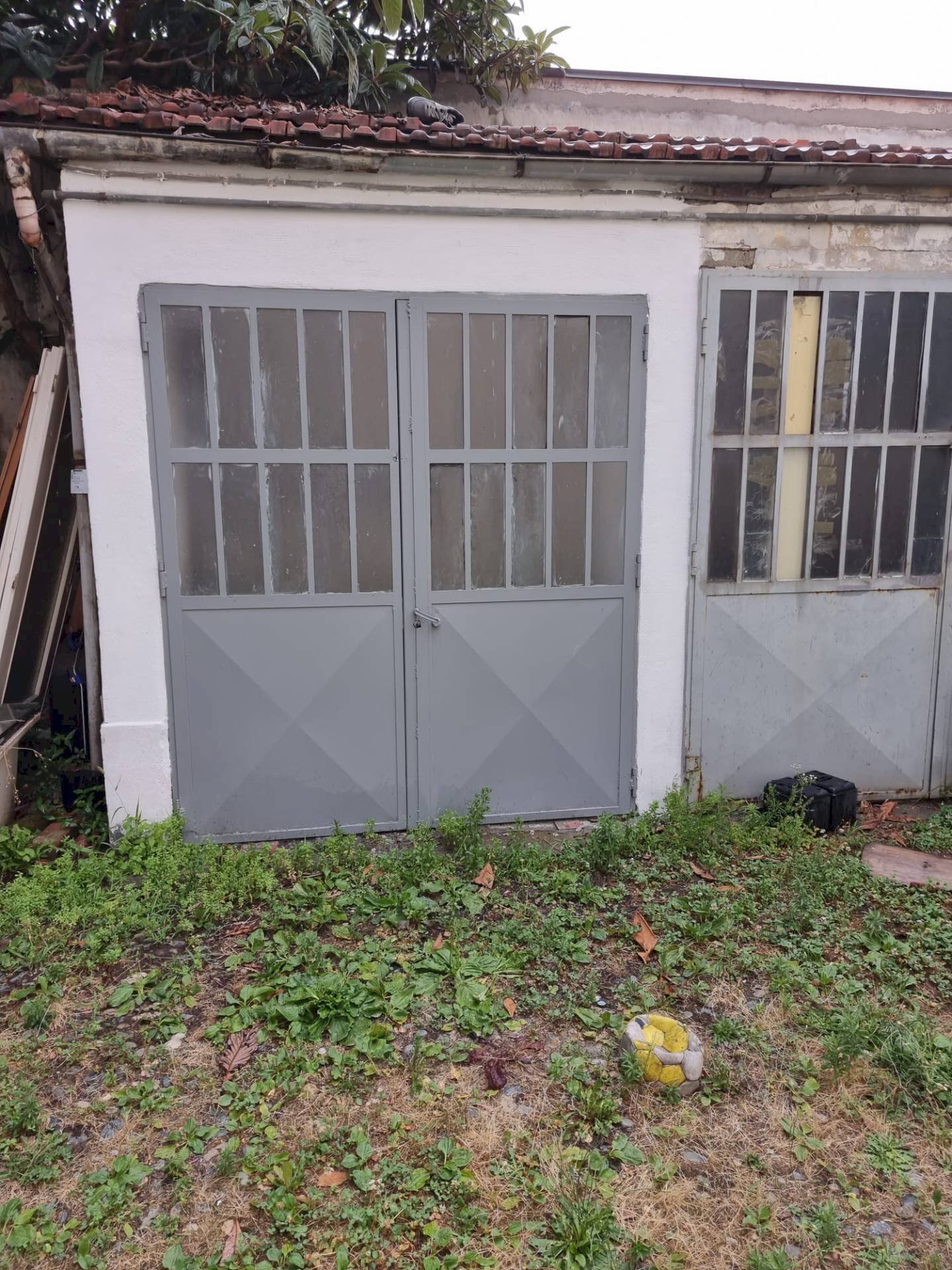 immagine annuncio 10 di 12