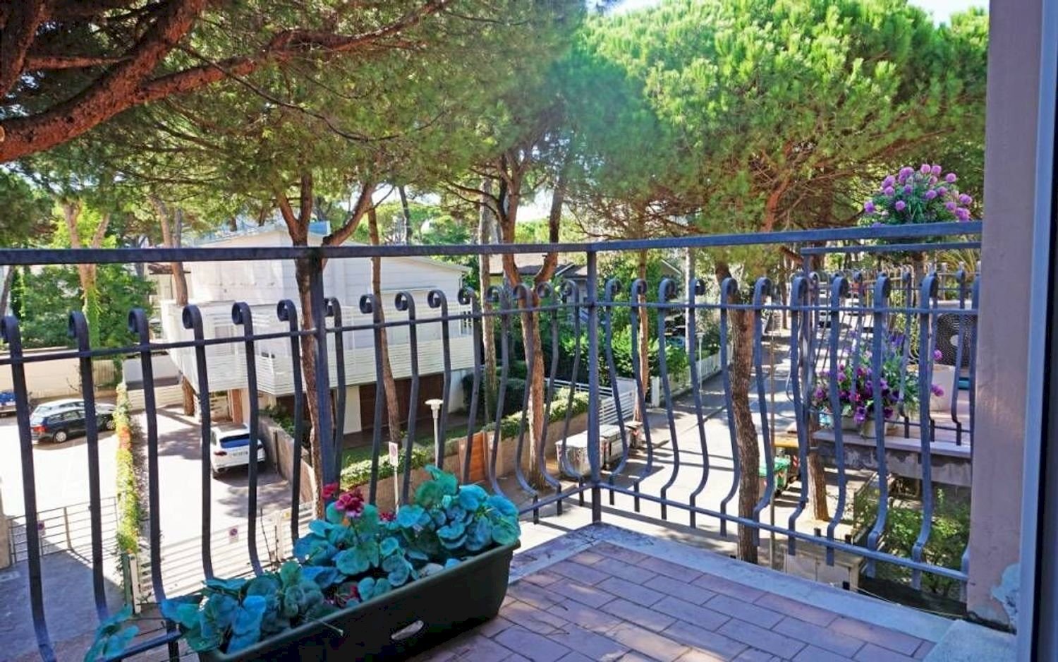 immagine annuncio 4 di 14