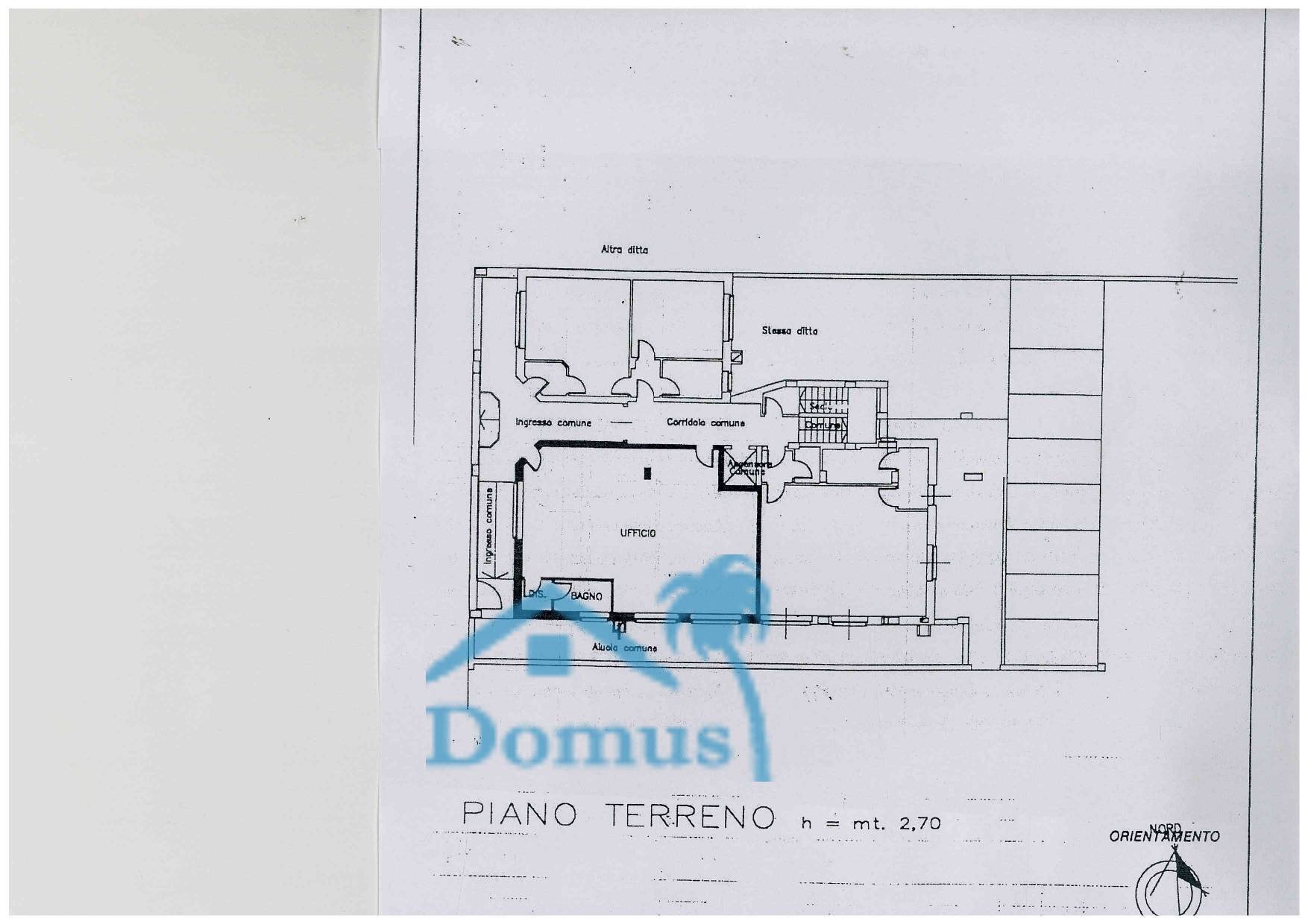 immagine annuncio 13 di 14