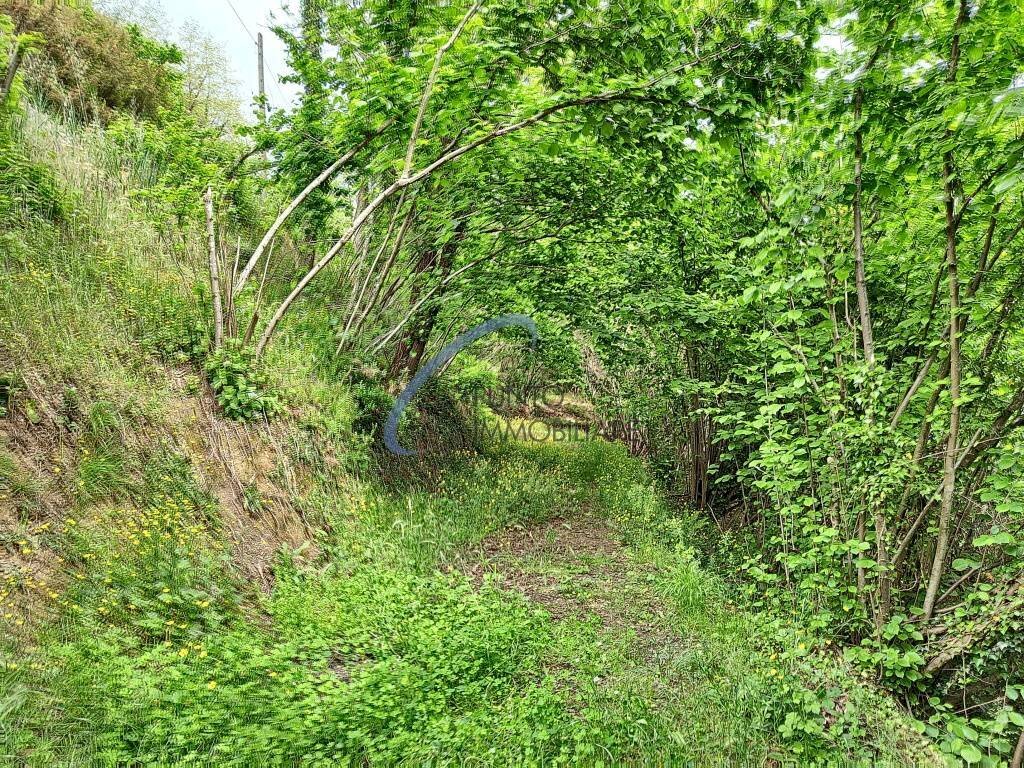 immagine annuncio 4 di 14