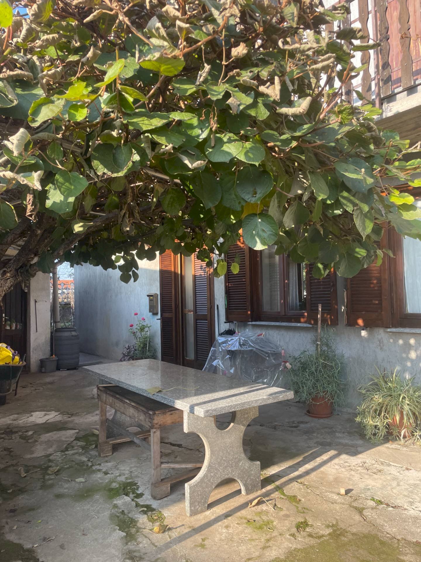 immagine annuncio 4 di 12