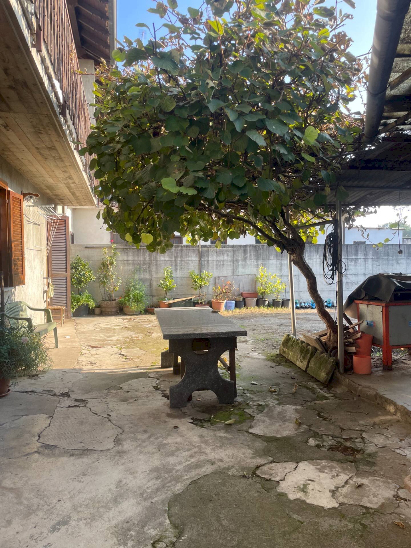 immagine annuncio 6 di 12